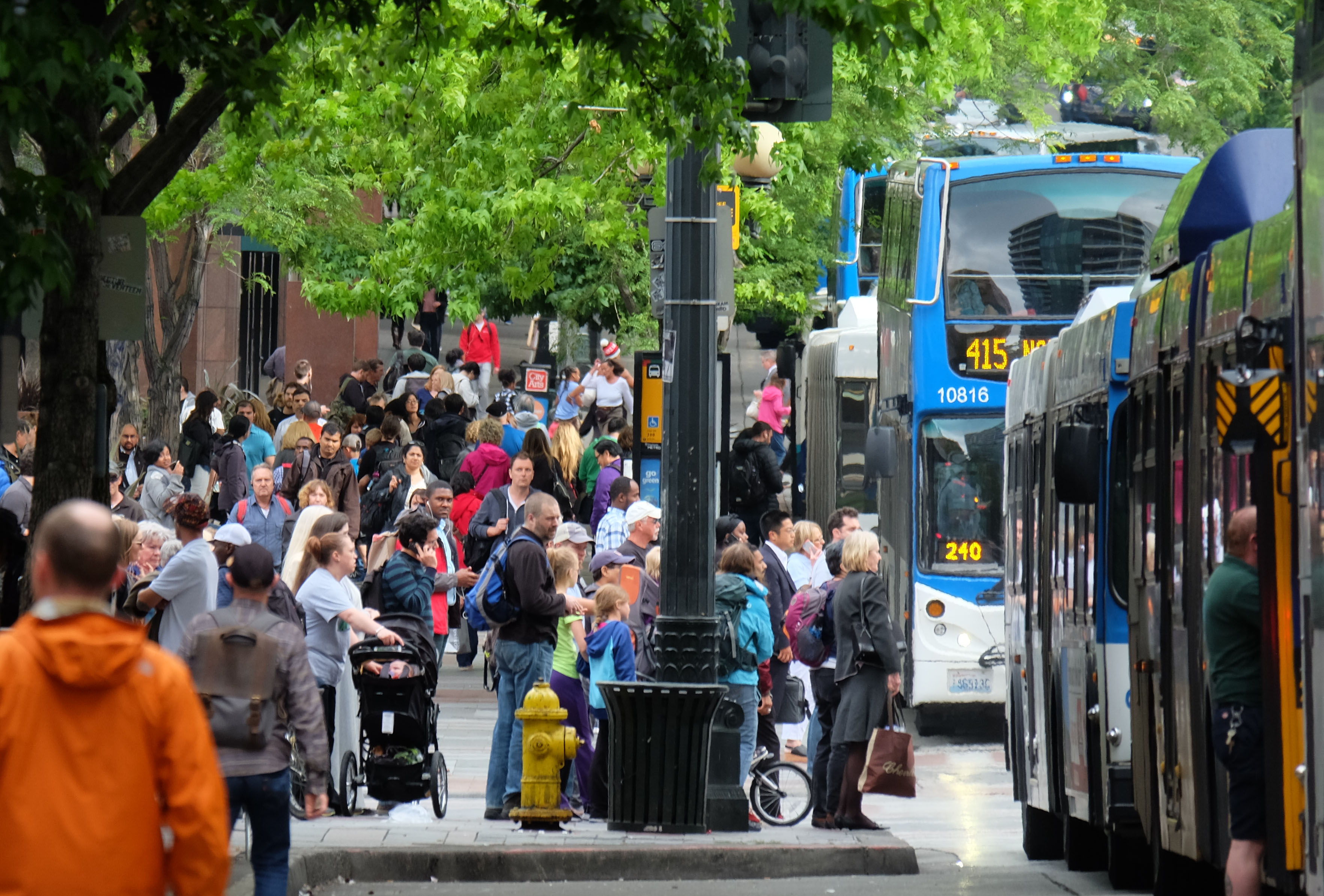 Busses
