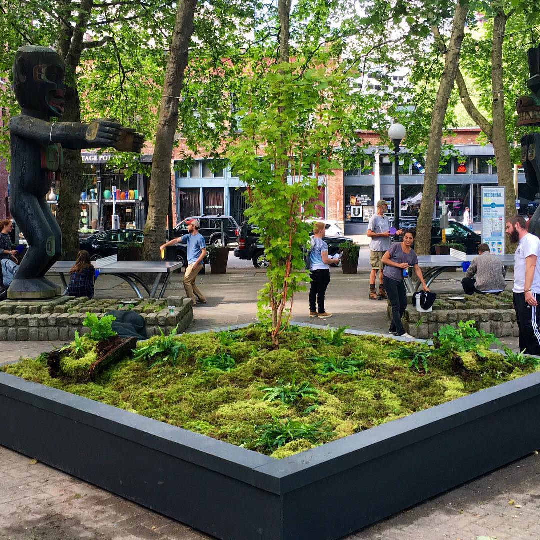 Garden Square in Occidental