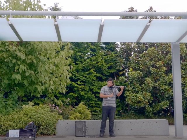Electric violinist against a green backdrop