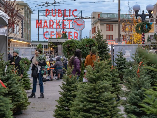 Pines on Pike Christmas Tree Lot
