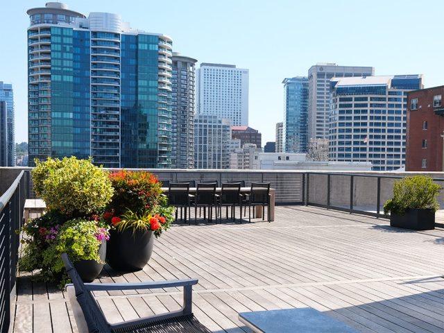 Rooftop. Photo courtesy of Pyramid Communications